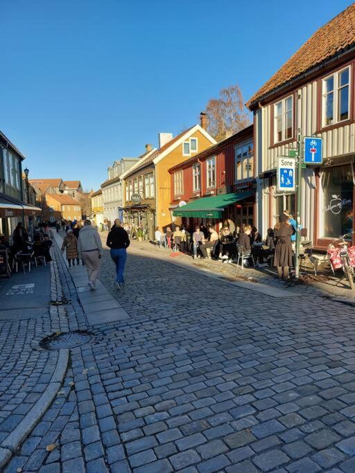 Hidden Gem Near The Old Town Bridge, 40M² Apt. Trondheim Bagian luar foto